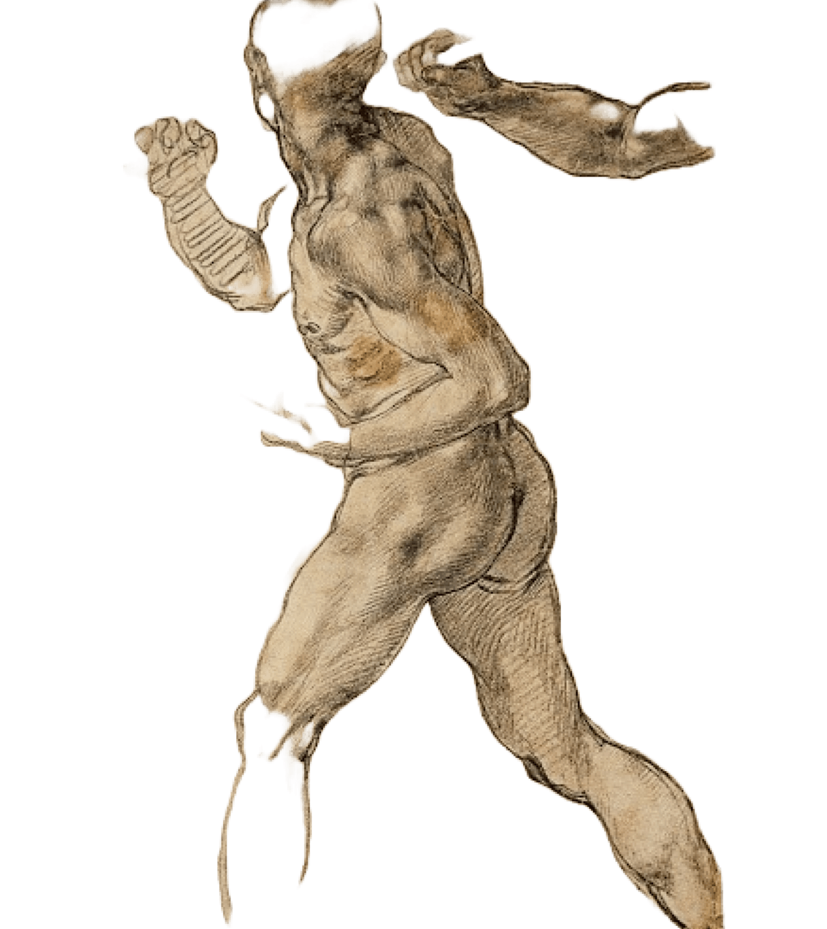 large proportion figure